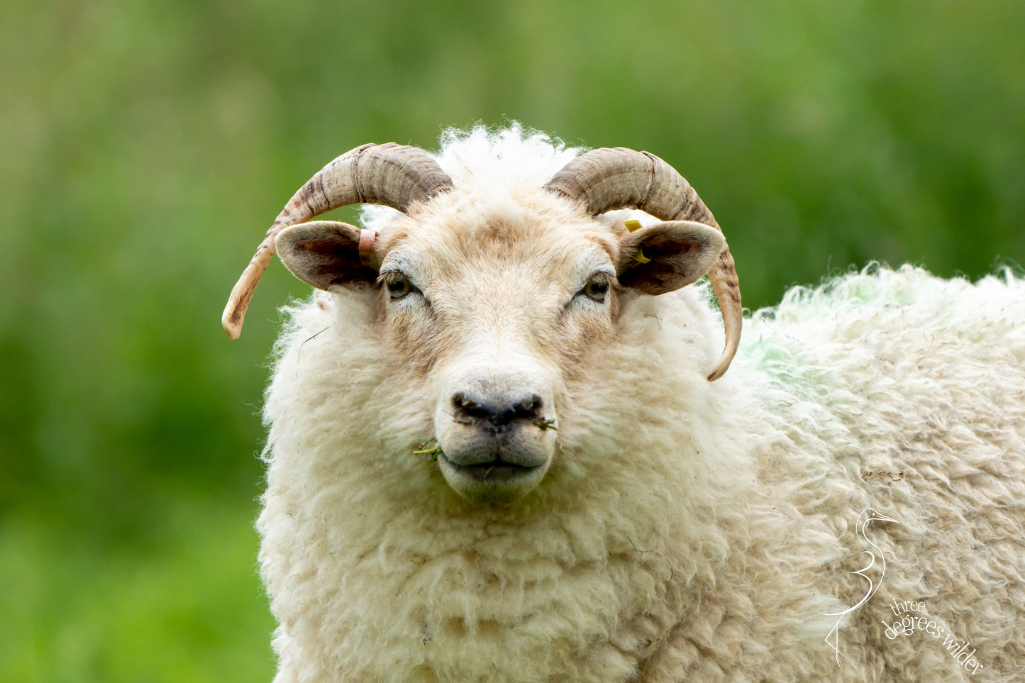 WHAT YEW LOOKING AT?