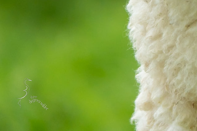 WHAT YEW LOOKING AT?