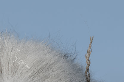 SHEEPISH ACCESSORIES